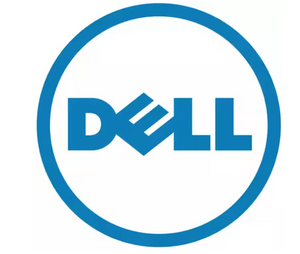 Dell Windows Server 2022 Standard ROK 16 Core w/ 5-pack CALs (634-BYKR-634-BYKS)